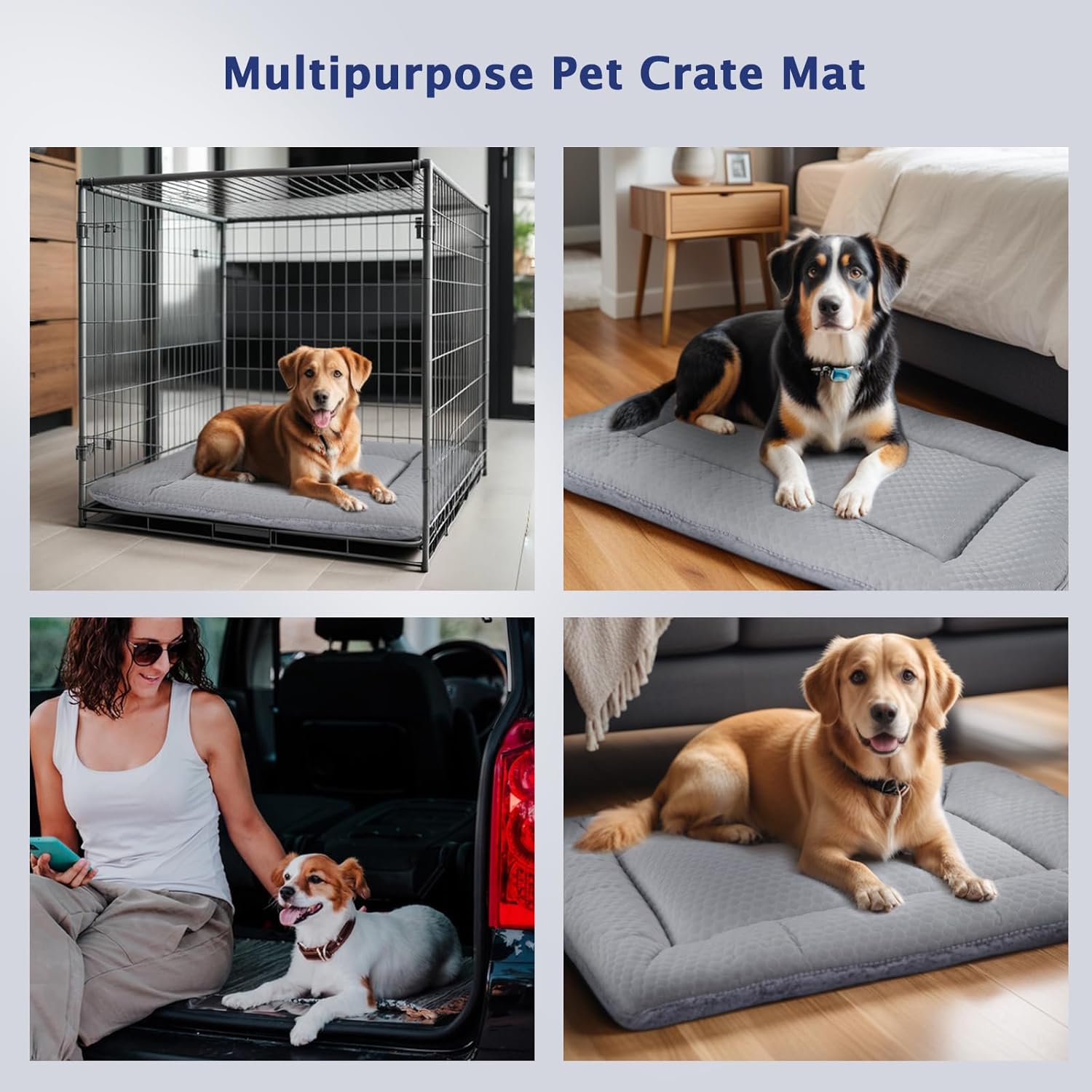 Thumbnail 3 de BVAGSS XH080 Cuscino per cane 45x33cm