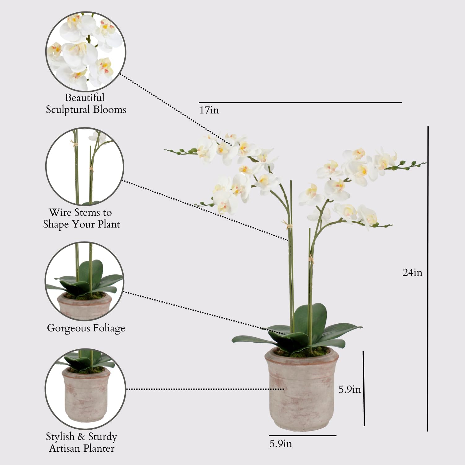 Detalle 2 de CG Hunter Faux Orchid Plant 24 in