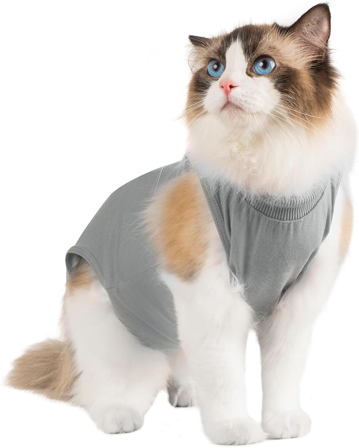 Thumbnail 6 de Cat recovery suit for spayed females