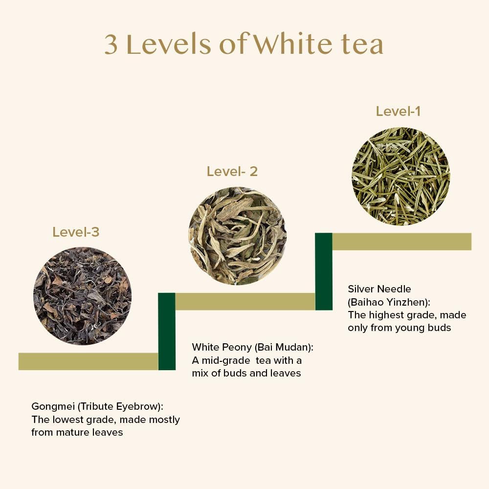 Detalle de VAHDAM Thé Blanc Silver Needle — 50 g en vrac, thé blanc pur à faible caféine