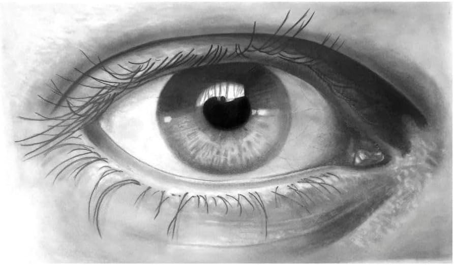 Detalle de Faber-Castell 114000 Graphite Sketch Set (8 pièces) avec 6 crayons Goldfaber, taille-crayon et gomme