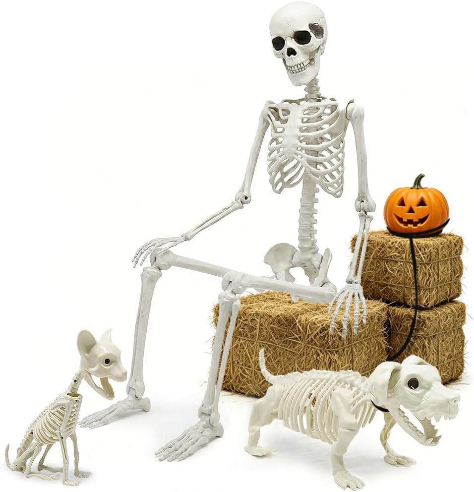 Detalle de CAMIRUS LR-WSJ-GJ 5.4 ft Posable Halloween Skeleton with Dog and Cat