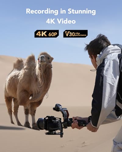 Thumbnail 3 de Lexar Tarjeta SD 256 GB UHS-I 205 MB/s