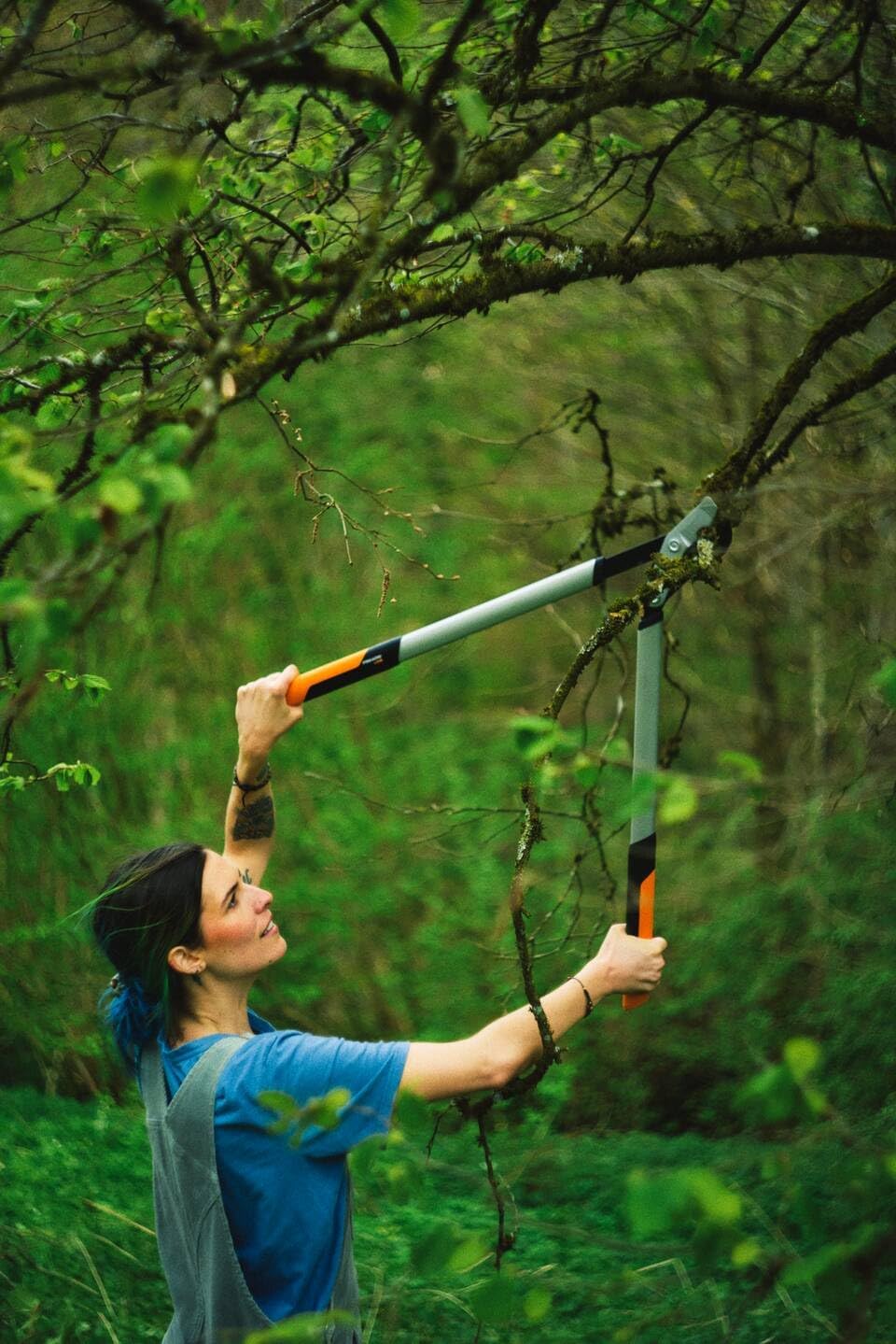 Thumbnail 4 de Fiskars PowerGear X Bypass-Getriebeastschere LX98-L – 80 cm, Antihaftbeschichtet