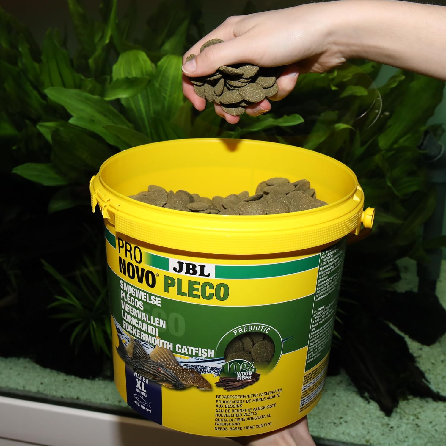 Detalle de JBL Pronovo Pleco Wafer XL 5,5 l bodemvisvoer met spirulina en zalm