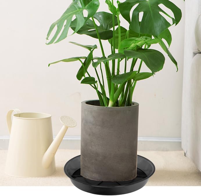 Thumbnail 4 de NIMYAU Large Plant Saucer 14 Inch 🌱