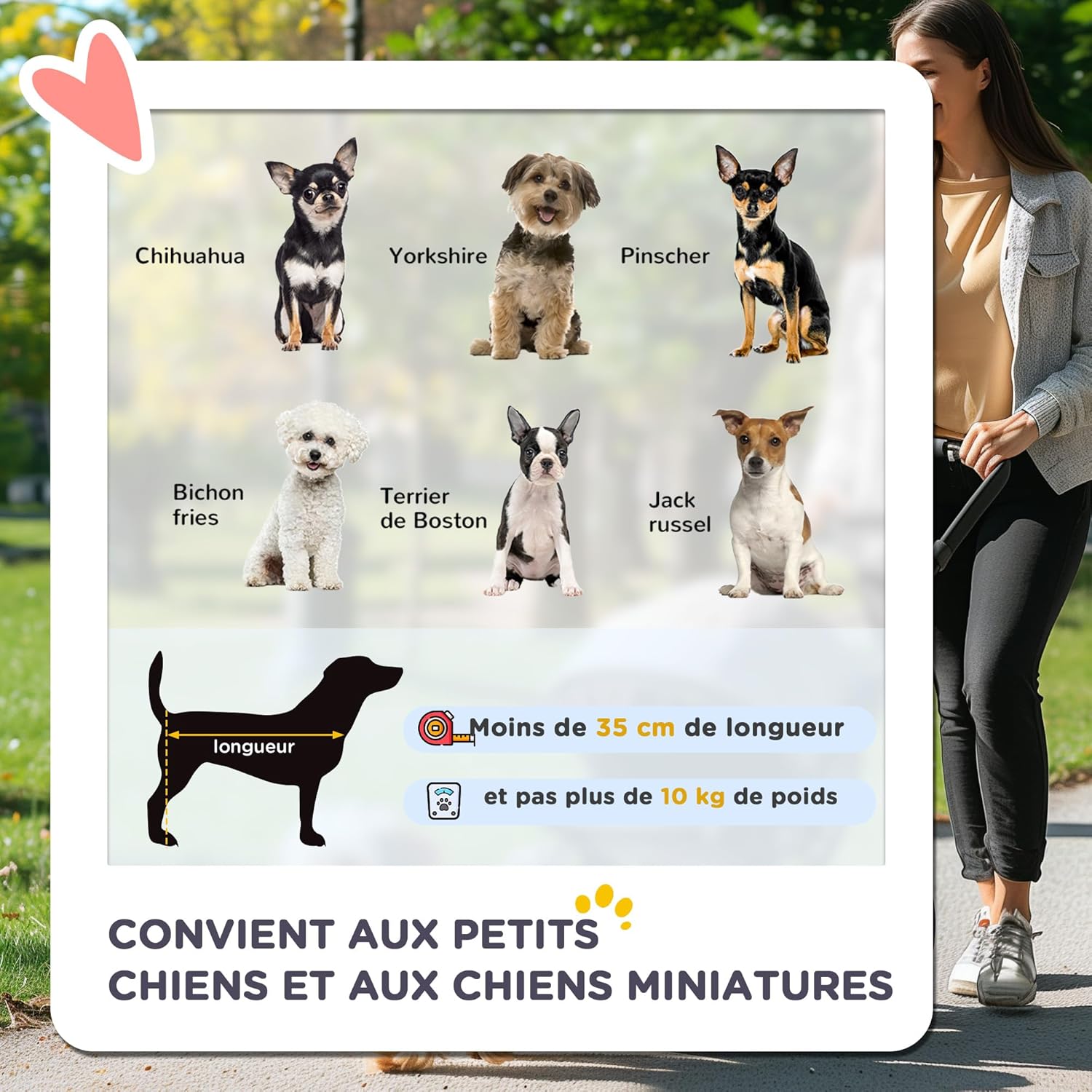 Detalle de PawHut Poussette buggy pliable pour animaux – chariot chien chat, 75 x 45 x 97 cm, marron