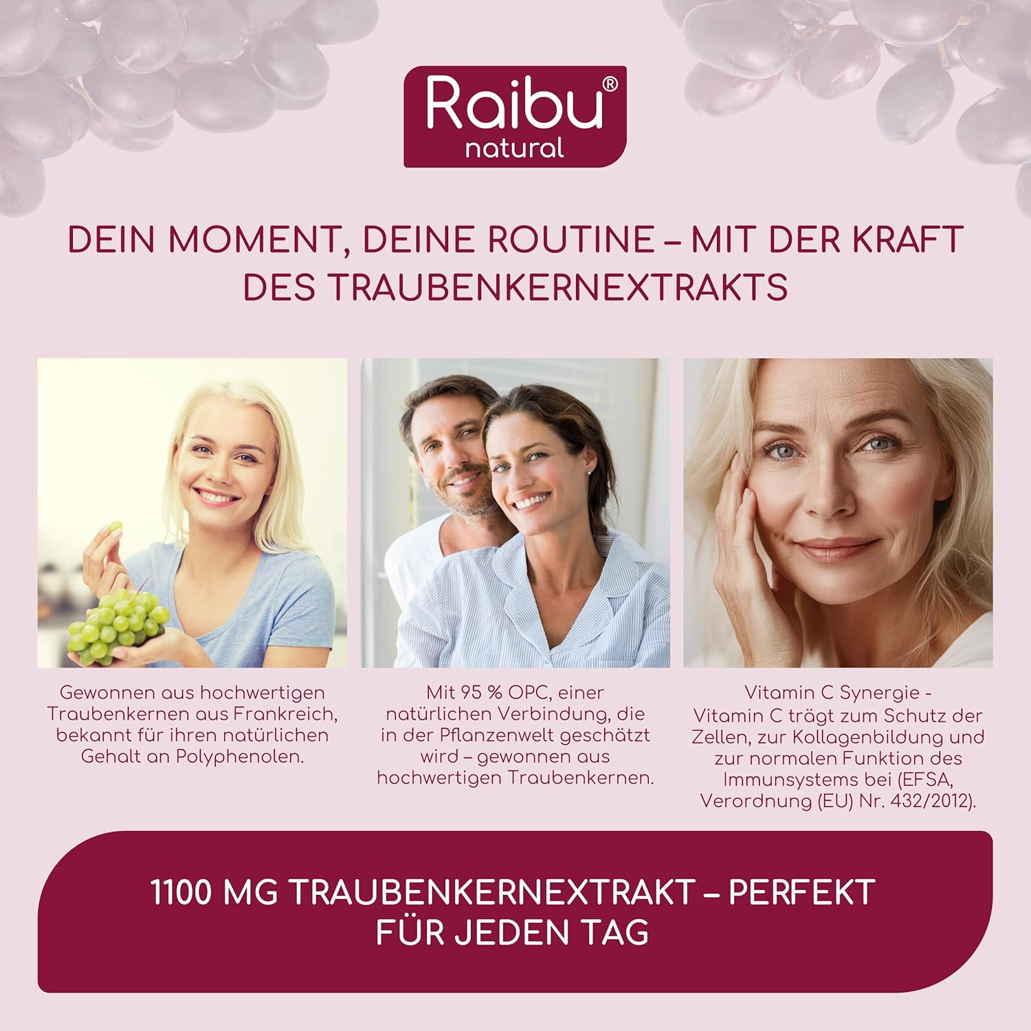 Thumbnail 1 de OPC Traubenkernextrakt hochdosiert 1100 mg