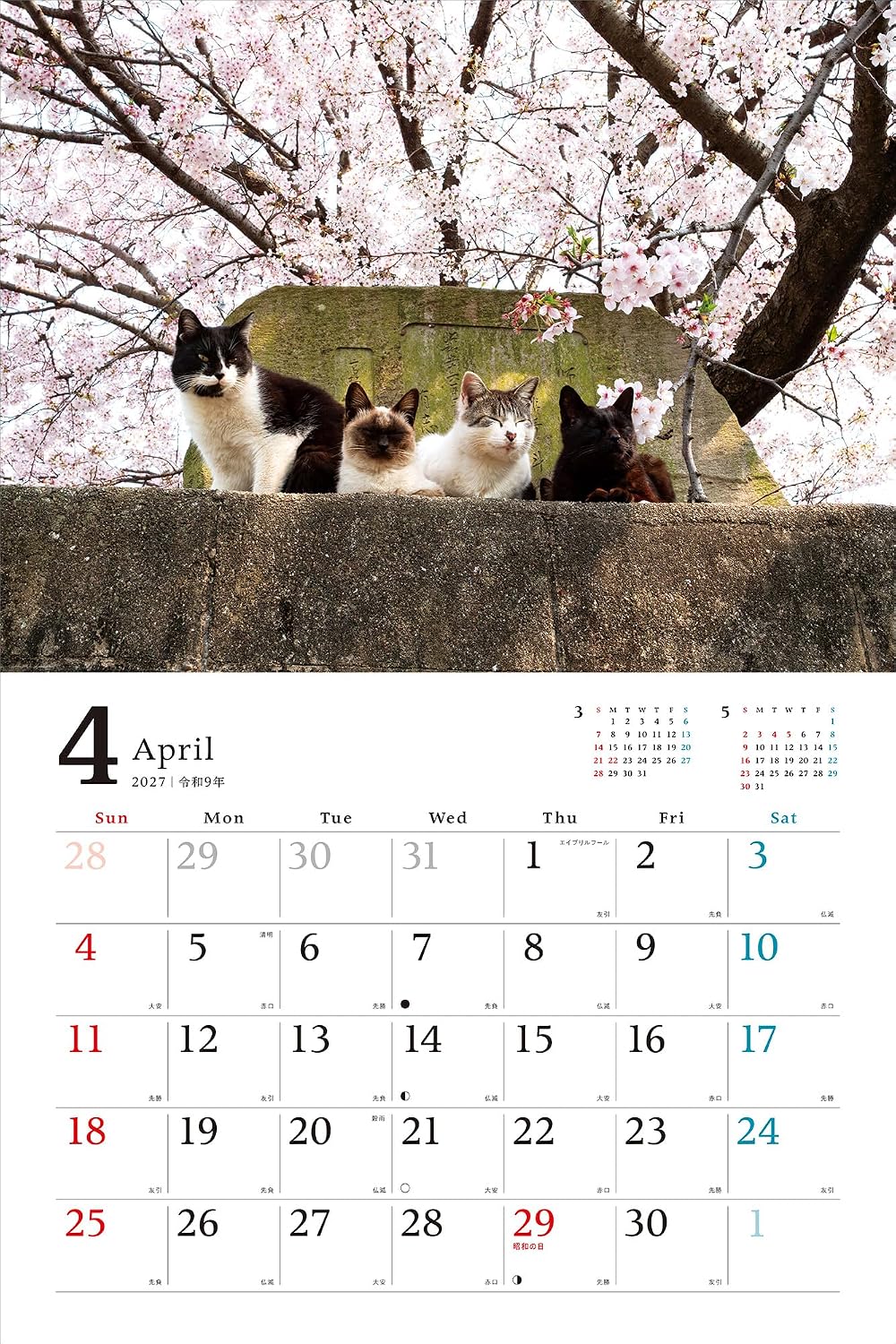Thumbnail 6 de MdNカレンダー2027 のんびり島ねこ旅カレンダー 壁掛け・月めくり・大判