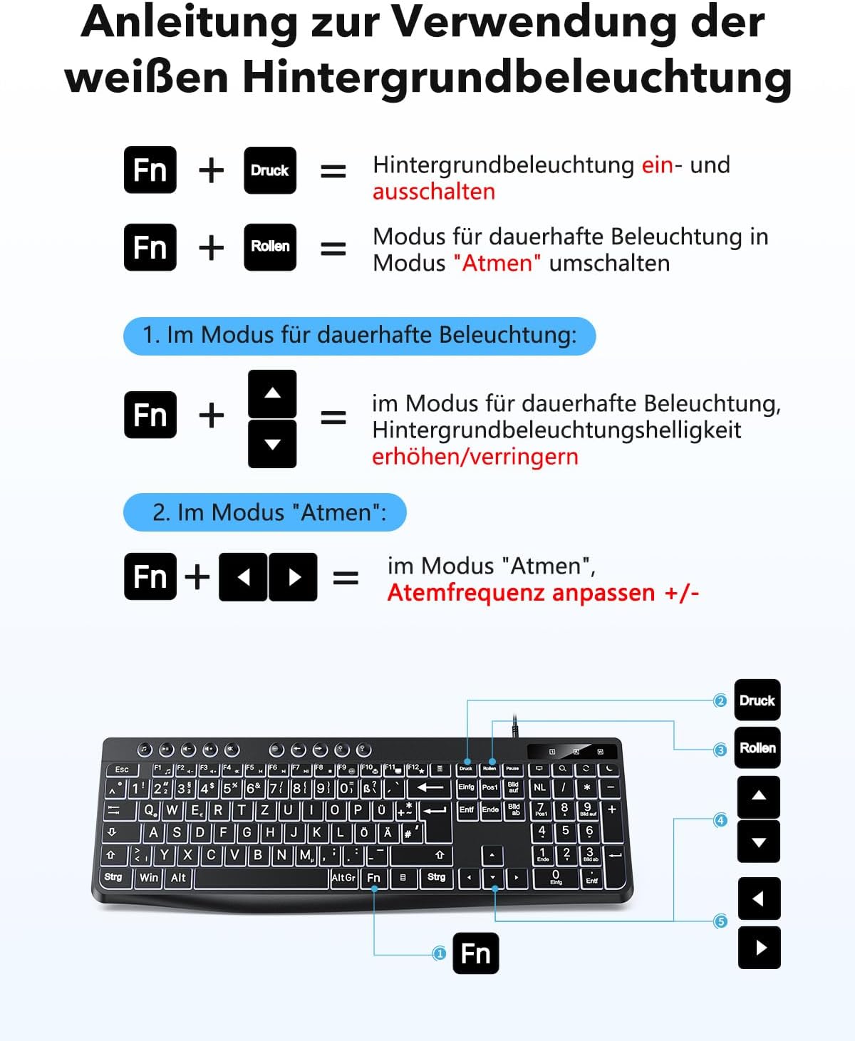 Thumbnail 1 de OMOTON Beleuchtete Tastatur – QWERTZ, Großschrift, 2-in-1 USB A/C, Kabeltastatur für Windows