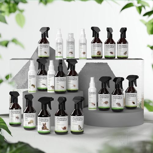 Thumbnail 6 de RepellShield Rat & Mouse Repellent Spray - 250ml