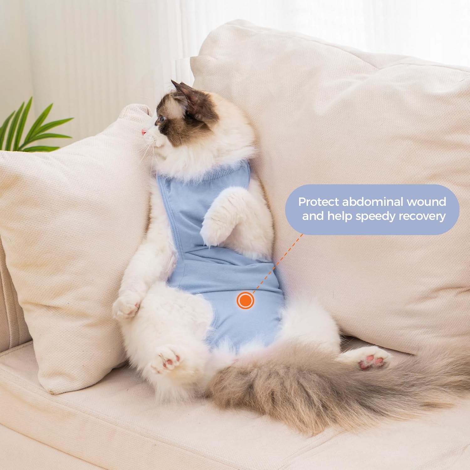 Detalle 1 de Avont Recovery Suit Onesie for Cats