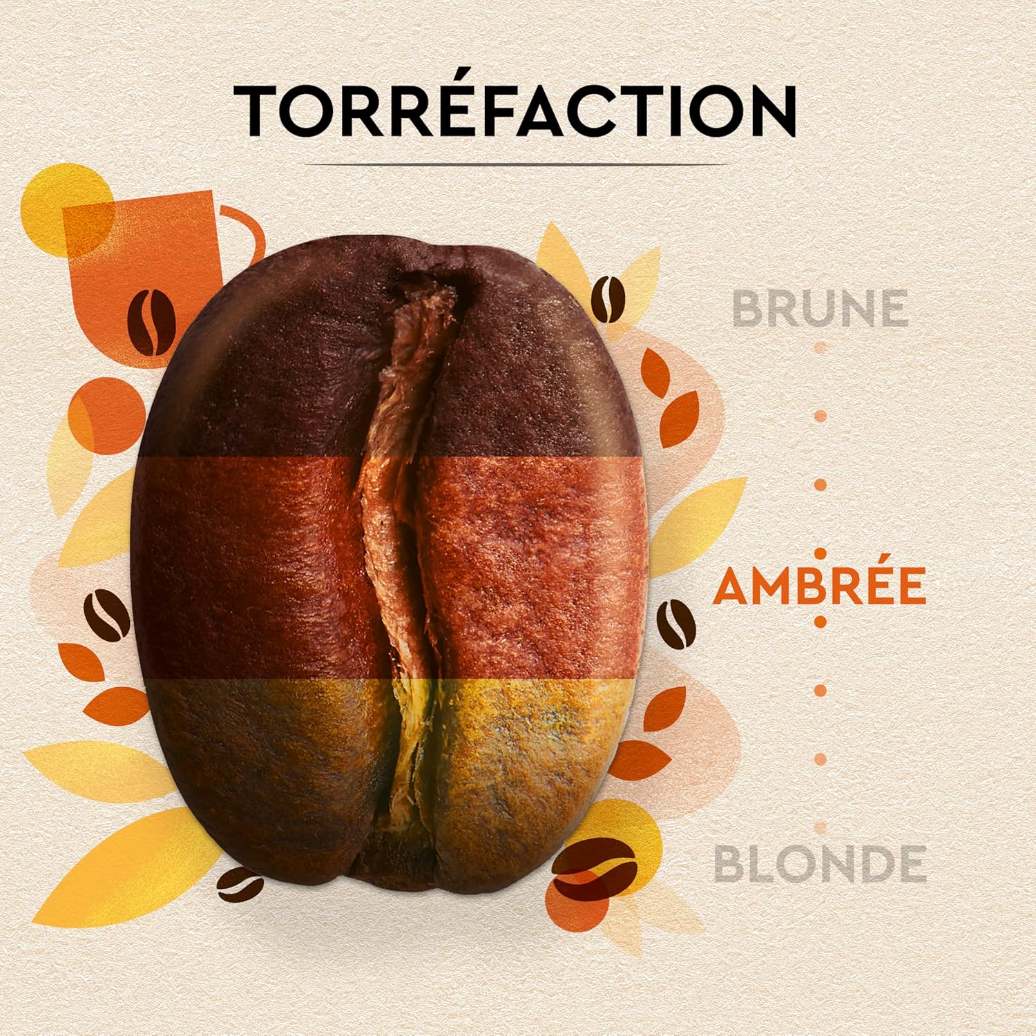 Thumbnail 5 de CARTE NOIRE 1 kg café en grains