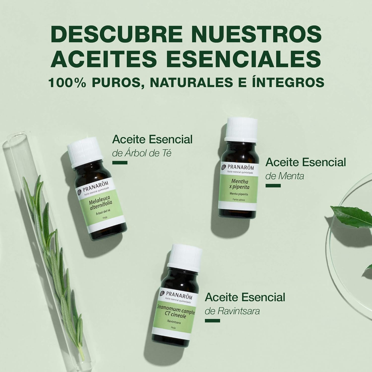 Detalle de PRANAROM Lavanda Orgánica HECT – Aceite esencial quimiotipado 100% puro y natural (10 ml)