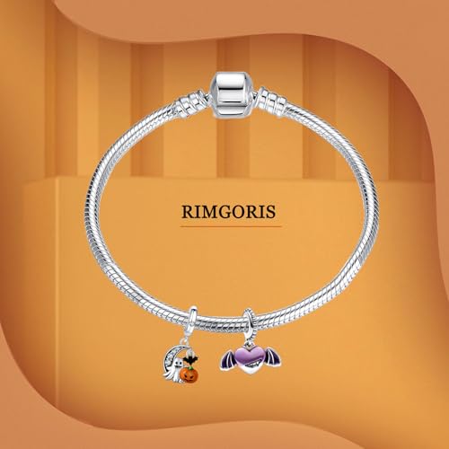Detalle 2 de Rimgoris Charm argent 925 femme