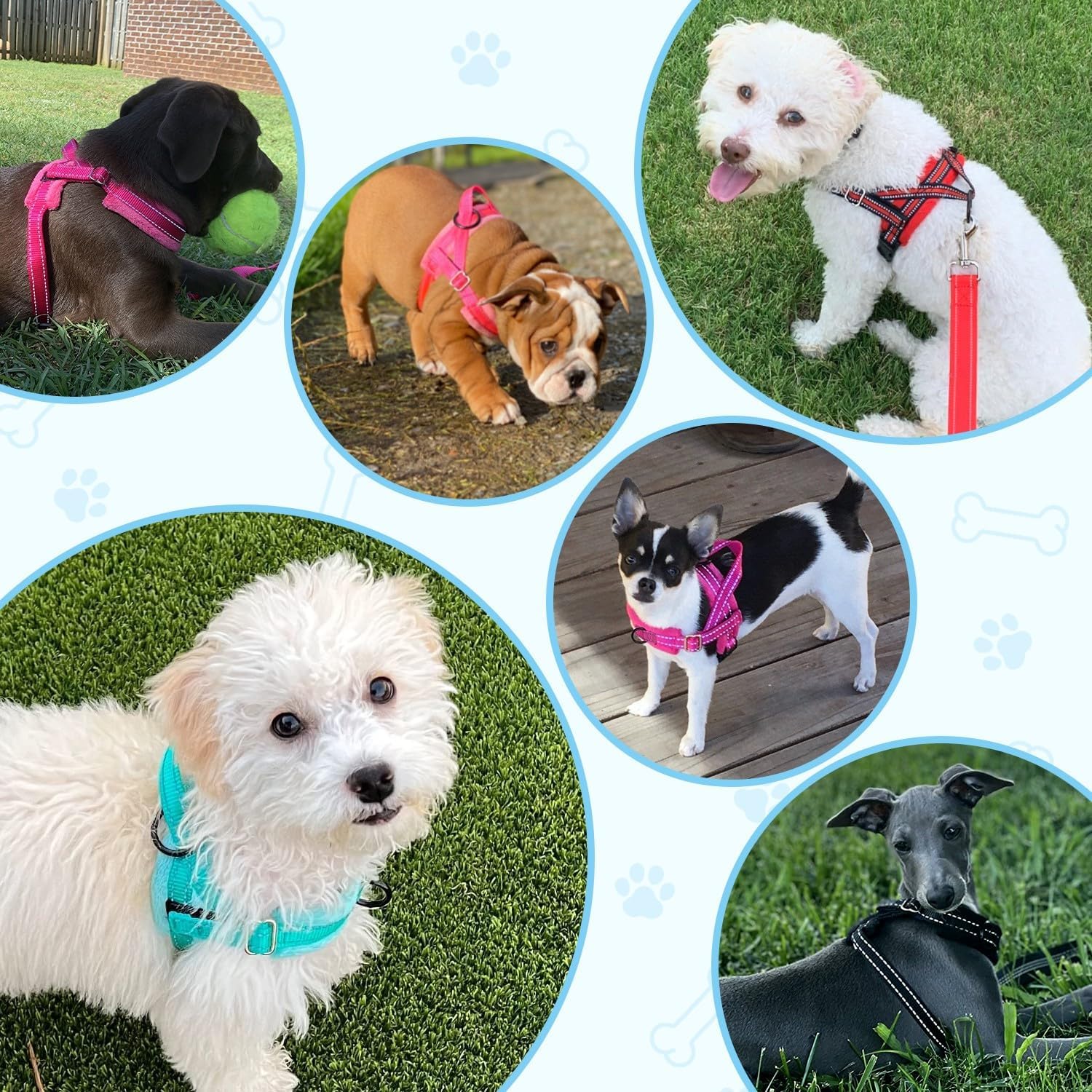Thumbnail 6 de SlowTon Hundegeschirr mit Leine – Anti-Zug Sicherheitsgeschirr mit reflektierenden Nähten
