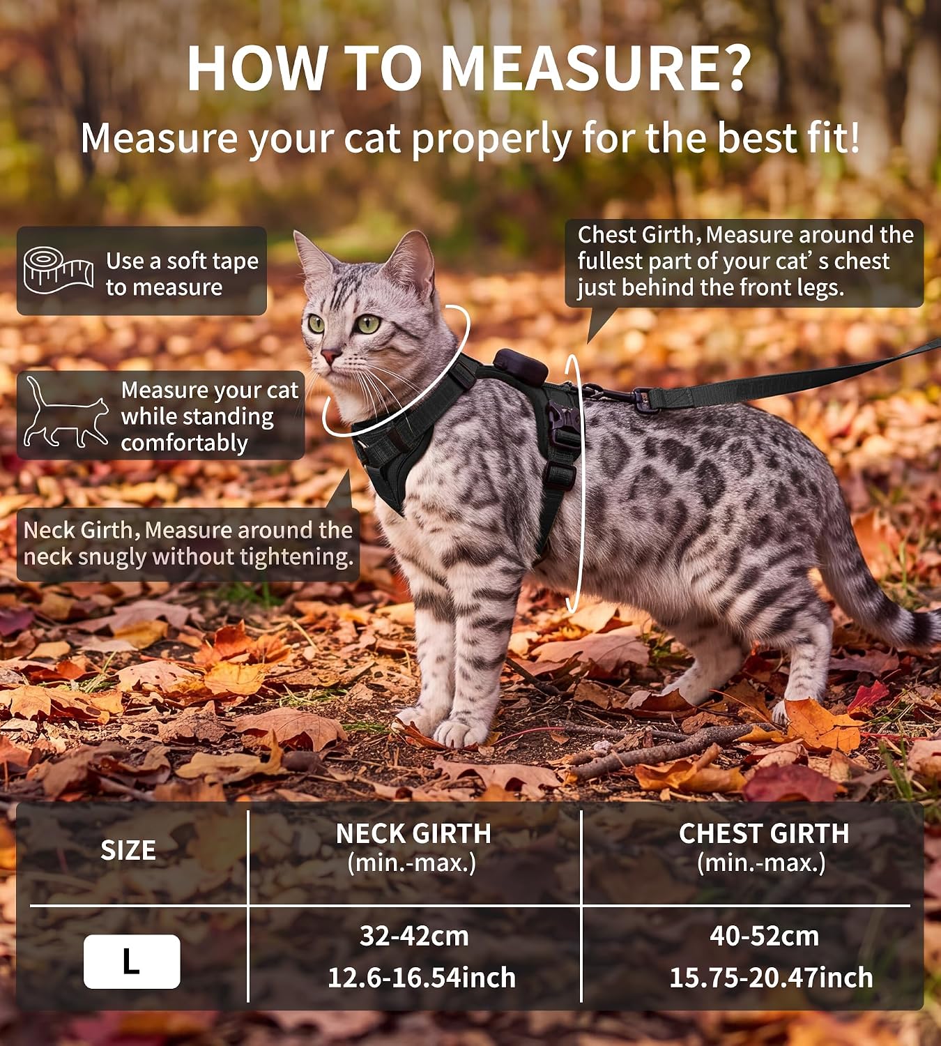 Thumbnail 2 de Cat Harness and Leash Set, Large