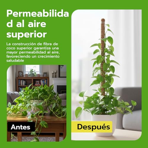 Detalle 2 de Wigearss: 2 tutores de fibra de coco de 60 cm para plantas trepadoras, con montaje y anclaje incluido