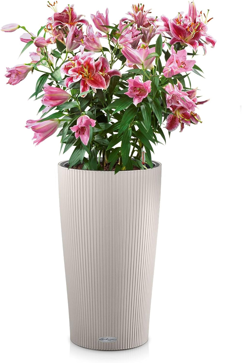 Thumbnail 1 de LECHUZA ZYLINDER 23 sandbraun 13948