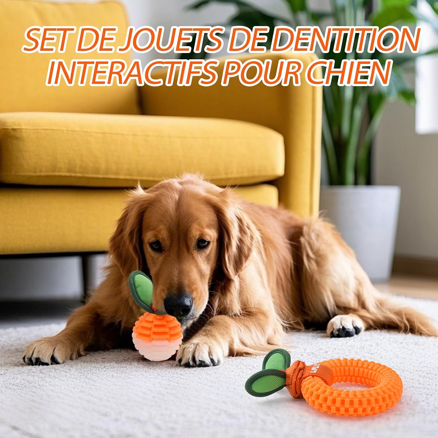 Thumbnail 6 de LIFLIX Lot de 2 Jouets Résistants à mâcher pour Chiens — TPU, nettoyage dentaire et dentition des chiots (petite et moyenne taille)