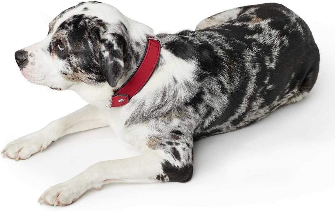 Detalle de HUNTER Hundehalsband SOFTIE − Nubukoptik aus Kunstleder, Made in Germany, Größe 50
