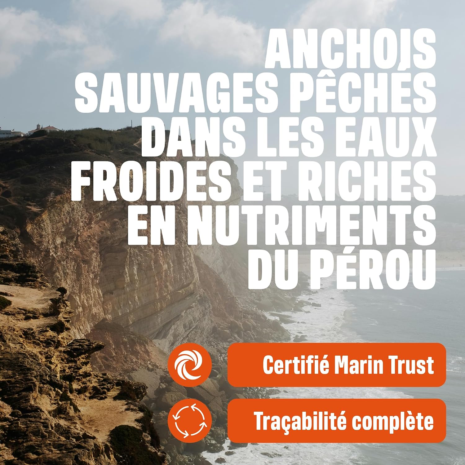 Detalle de ivvi Huile de Poisson Péruvienne pour Animaux de Compagnie – 250 ml (oméga-3, triple filtration)