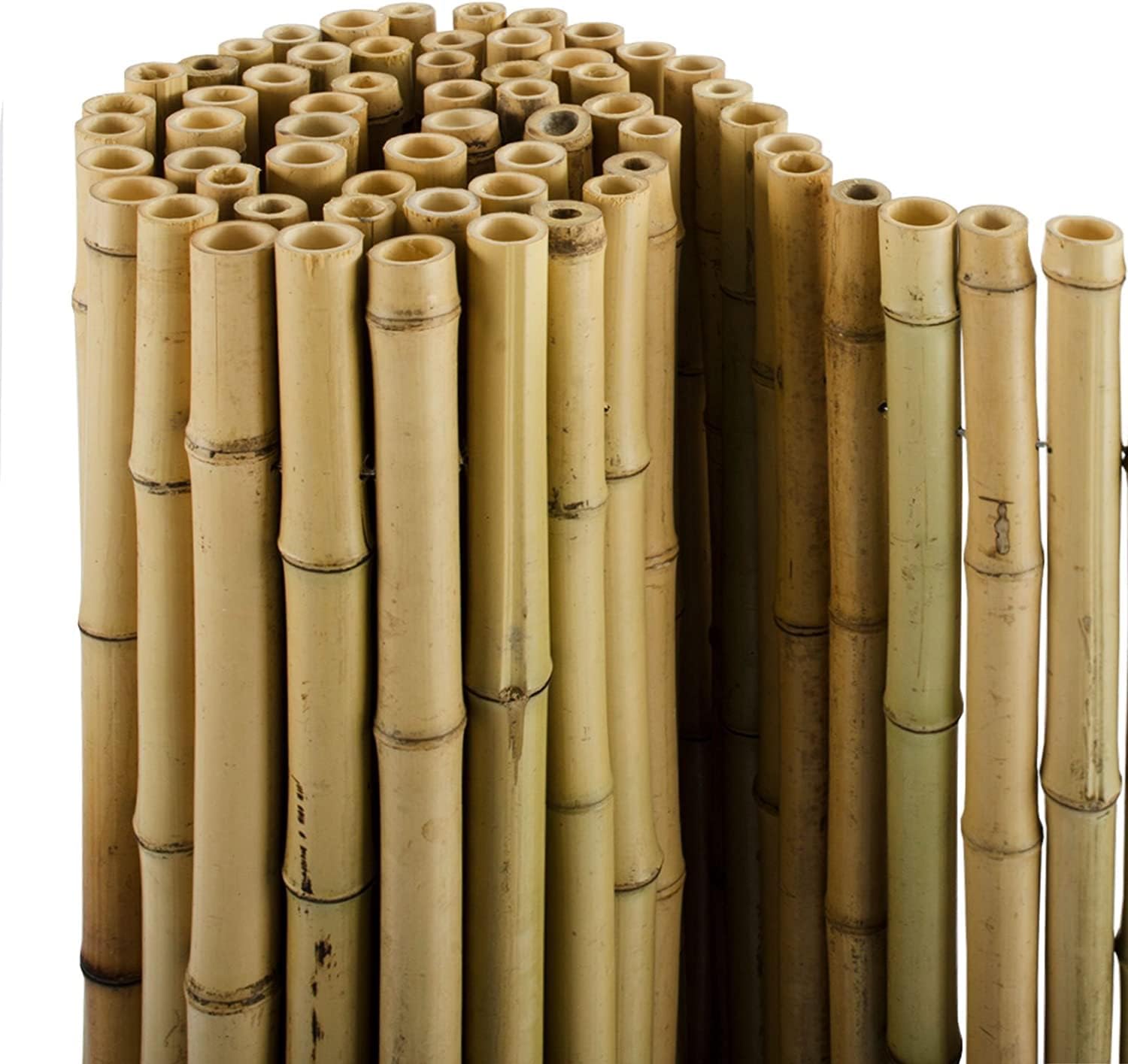 Thumbnail 3 de Floordirekt Bambus-Sichtschutzzaun 180 cm hoch × 200 cm Naturmaterial Vollrohr – Schilfmatte für Balkon, Terrasse oder Garten