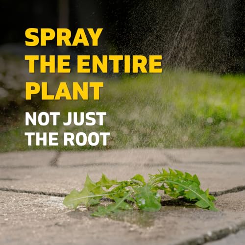 Thumbnail 4 de Spruce Weed Killer Refill for Spray Weed & Grass Killer Kit (64 Oz)