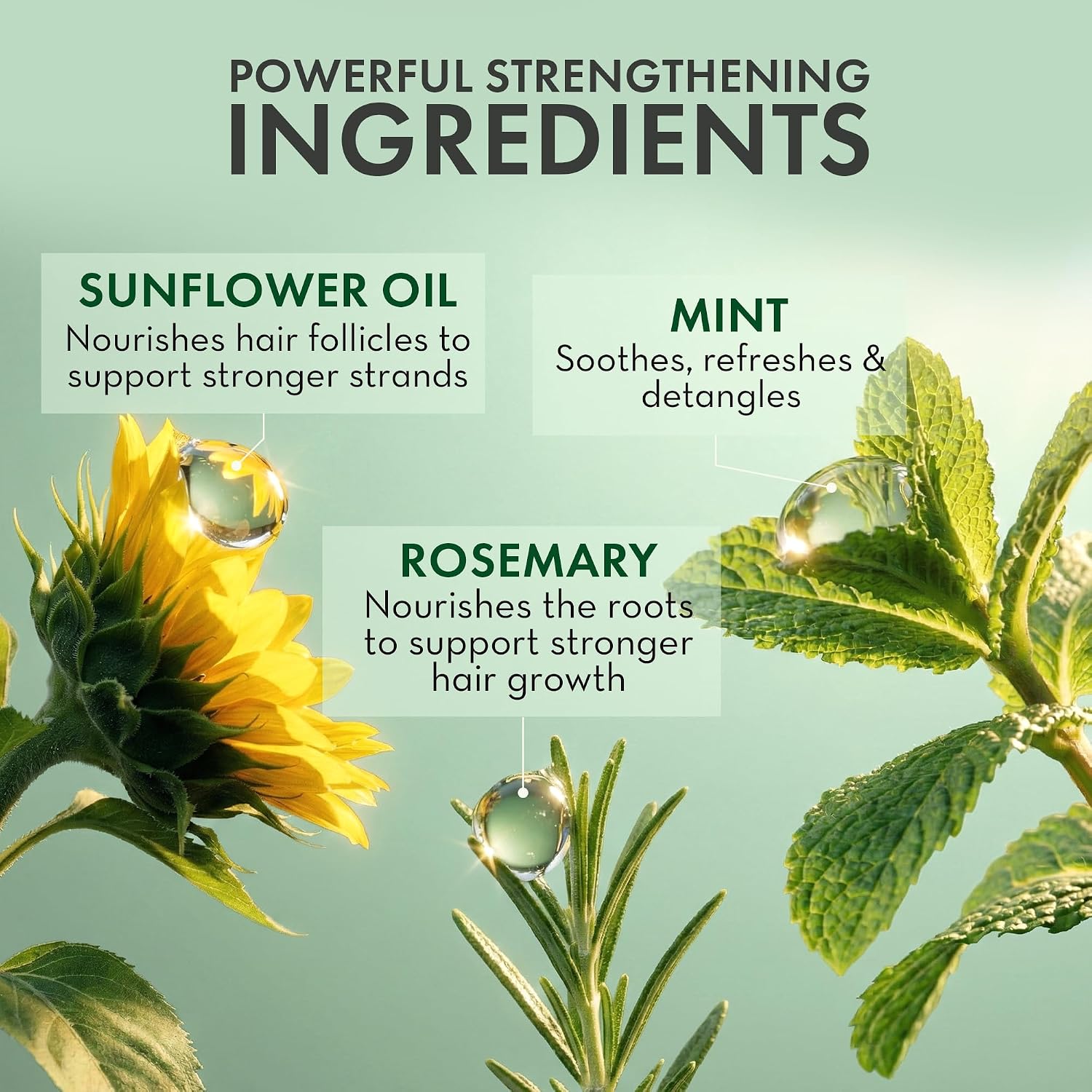 Detalle 2 de Pharm to Table Rosemary & Mint Leave-In Conditioner Spray, 8 fl oz