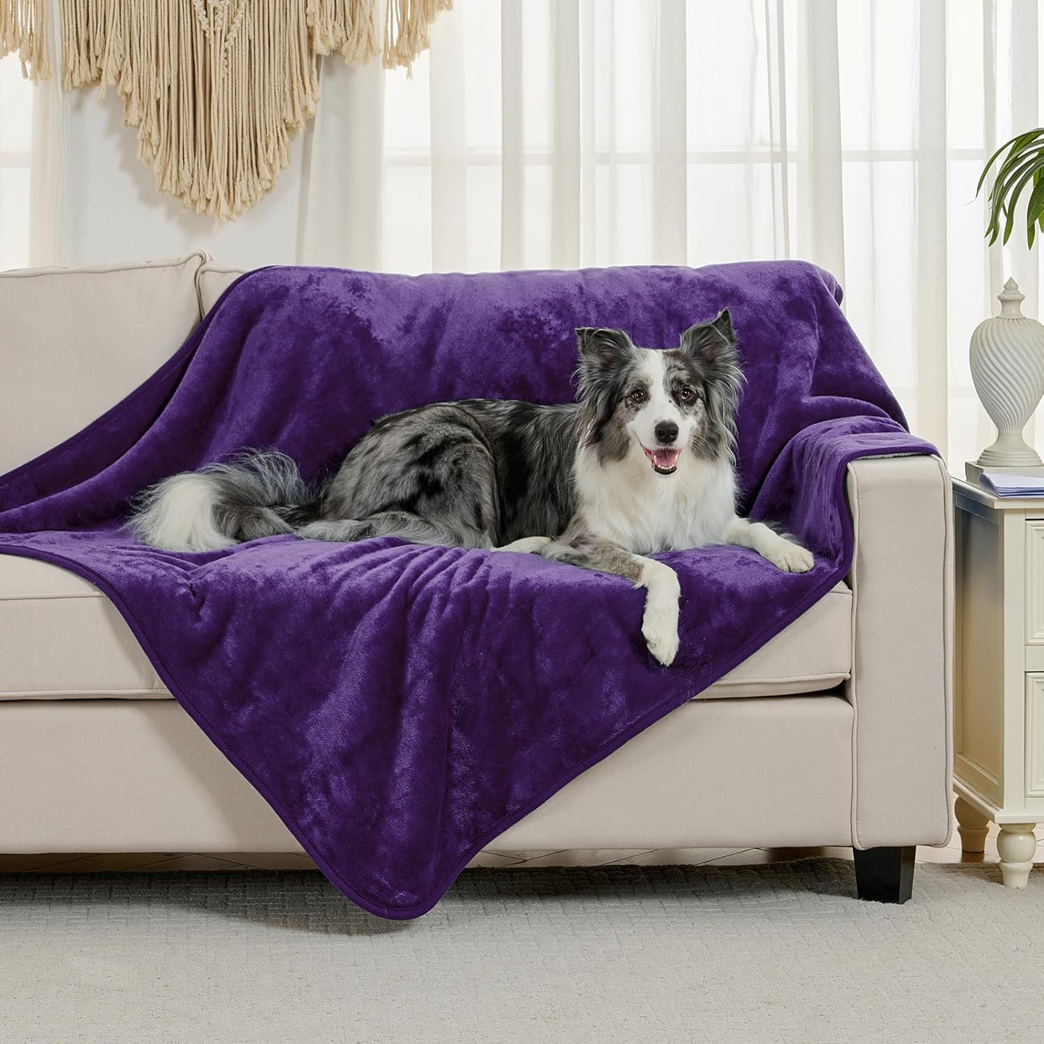 Thumbnail 1 de Yaning wasserdichte Decke für Bett, Couch & Sofa (Dunkelviolett, 152 x 203 cm) – doppelseitig mit Sherpa-Fleece