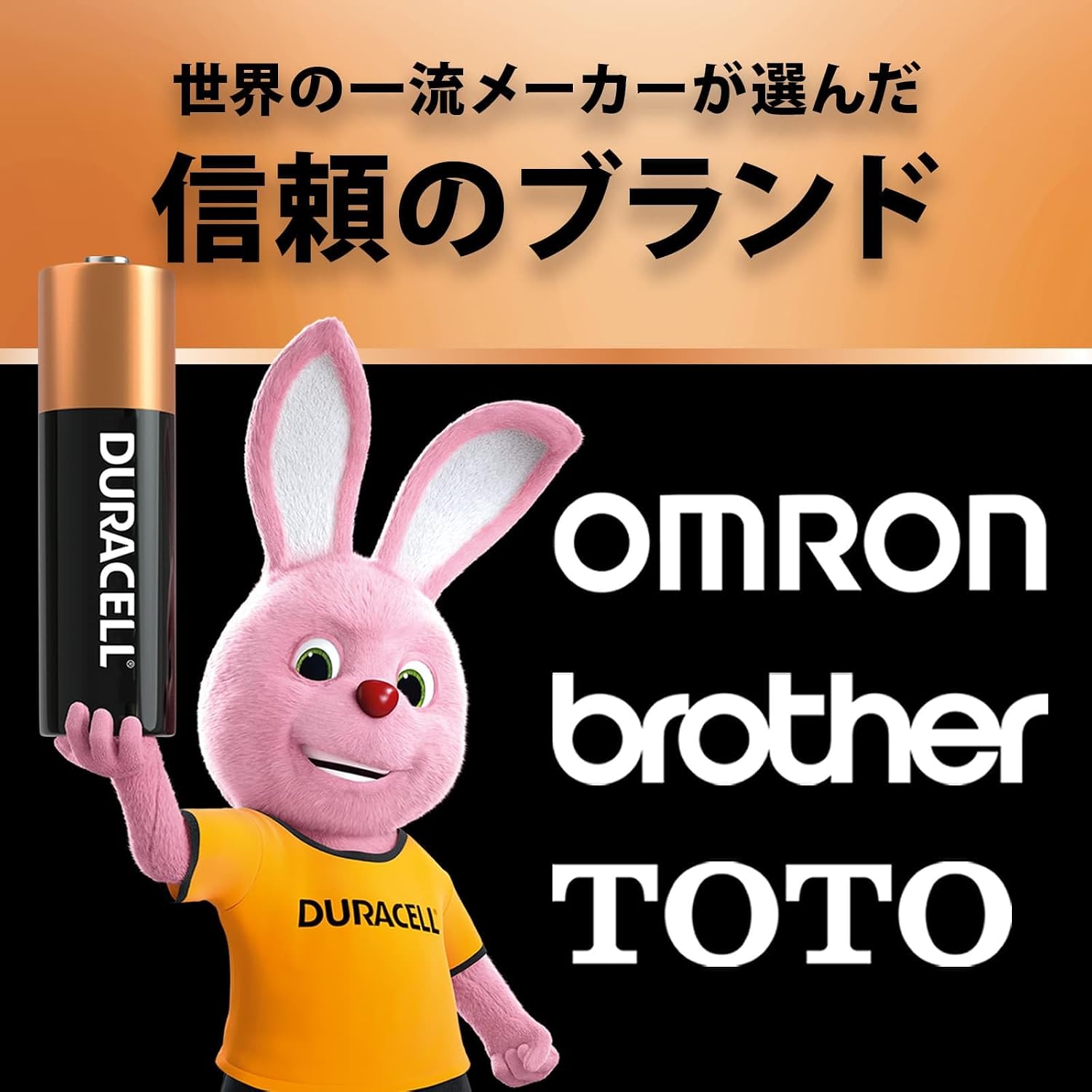 Detalle 2 de Duracell メインライン 単3形アルカリ乾電池 20本入り 10年保存・液もれ防止設計