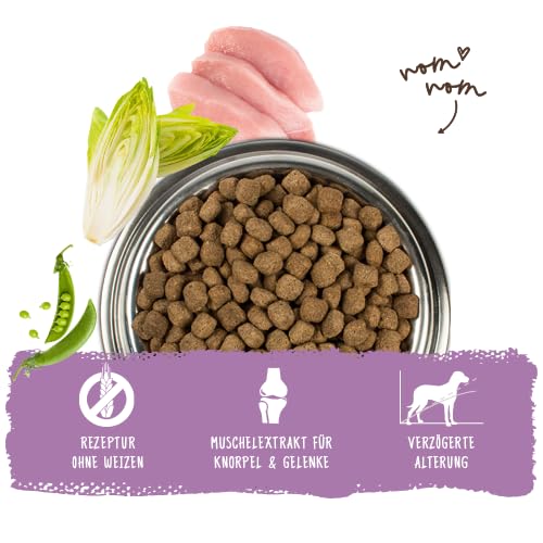 Detalle 2 de Bosch HPC Senior Hundefutter trocken, 12,5 kg – ausgewogen, wheatfrei und zuckerfrei