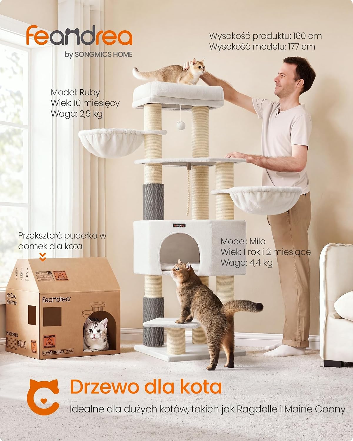 Detalle de FEANDREA CLAWFY Collection PCT003W02 – drapak dla kota 160 cm z 9 słupkami
