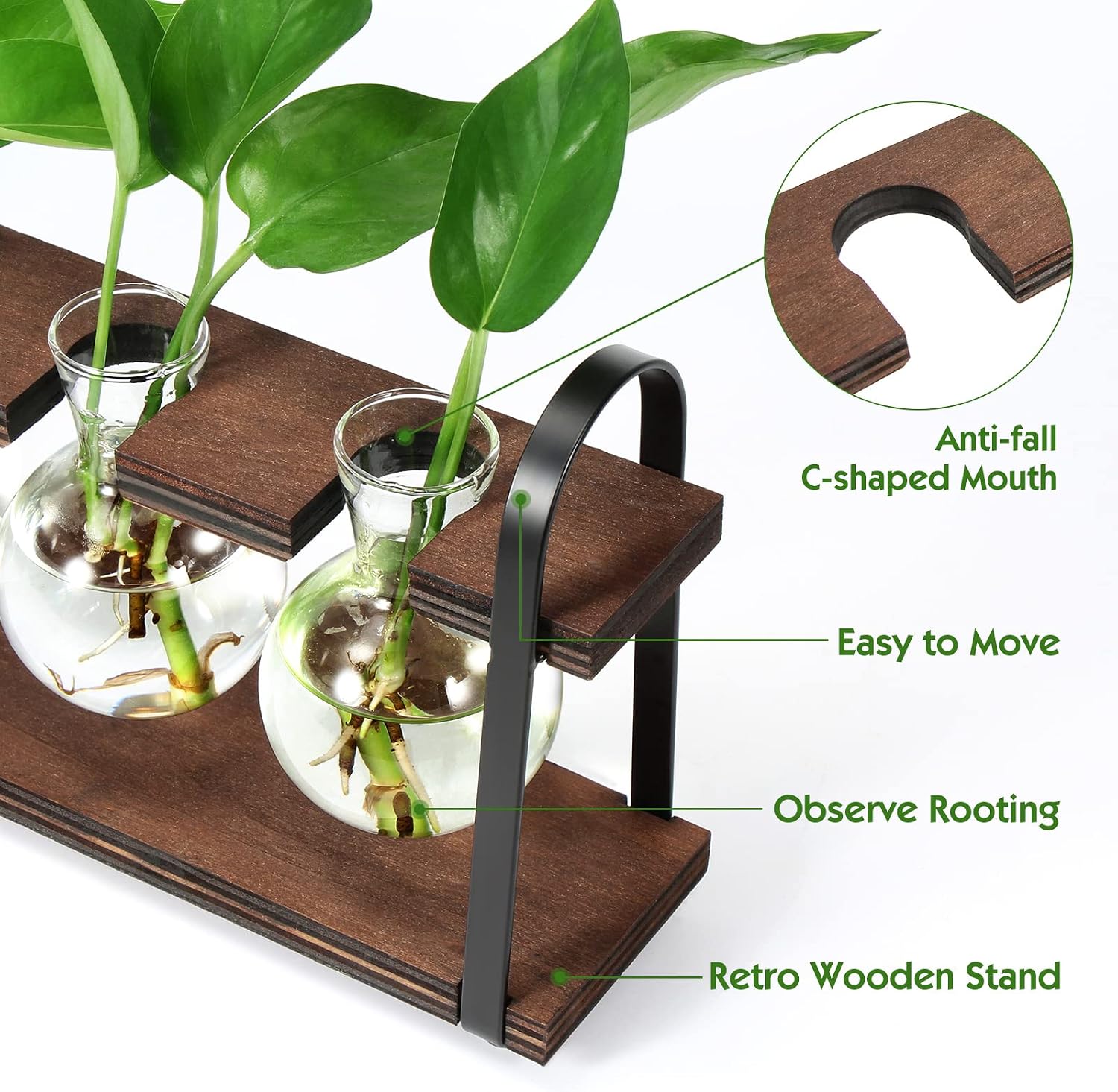 Detalle 2 de THYGIFTREE 4300 Five-Bulb Plant Propagation Station with Glass Vases