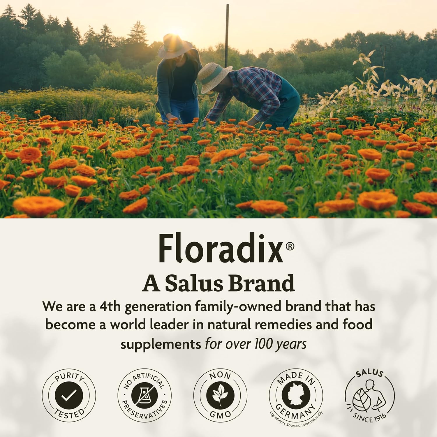 Thumbnail 6 de Floradix Iron & Herbs 16.9 fl oz iron