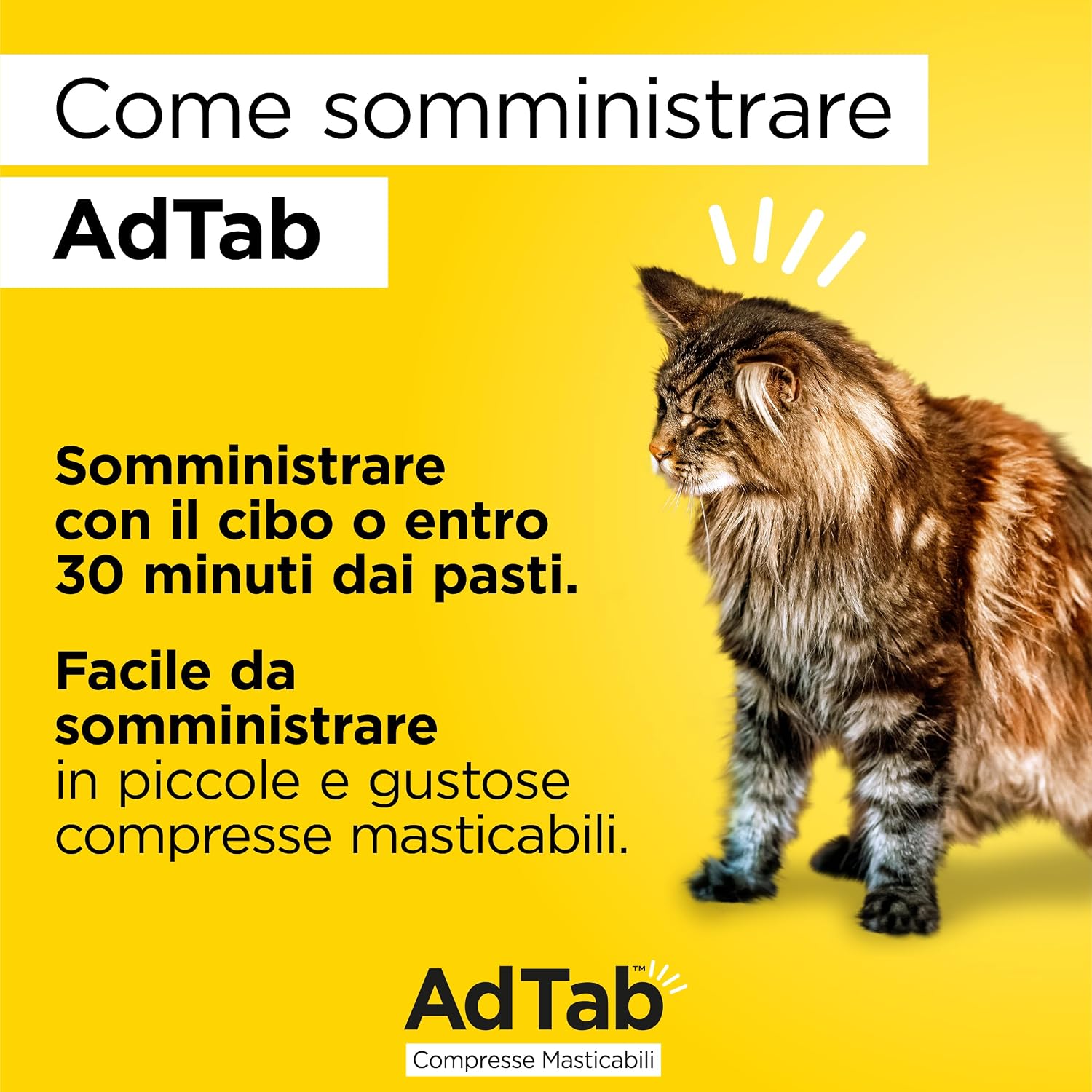 Detalle 2 de AdTab Compresse Masticabili per Gatti da 2,0–8,0 kg – 3 Compresse: sollievo rapido da pulci e zecche