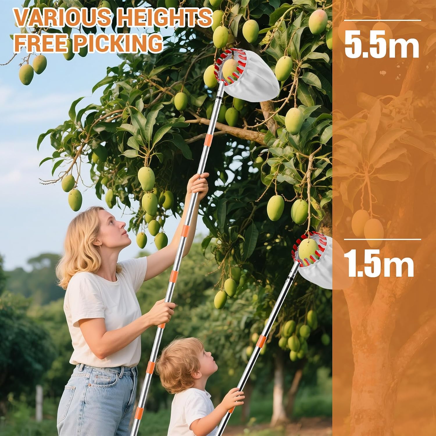 Detalle 1 de Apple Picker – zbierak do owoców 4,2 m z bawełnianym workiem 16 cm