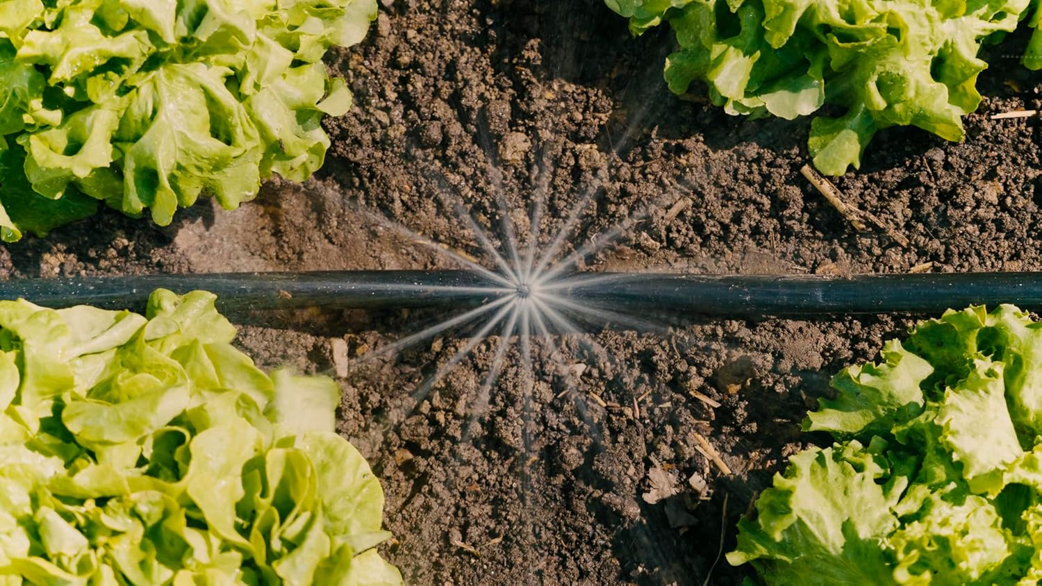 Thumbnail 6 de Gardena 13450-20 kit micro-irrigation goutte à goutte 60 m²