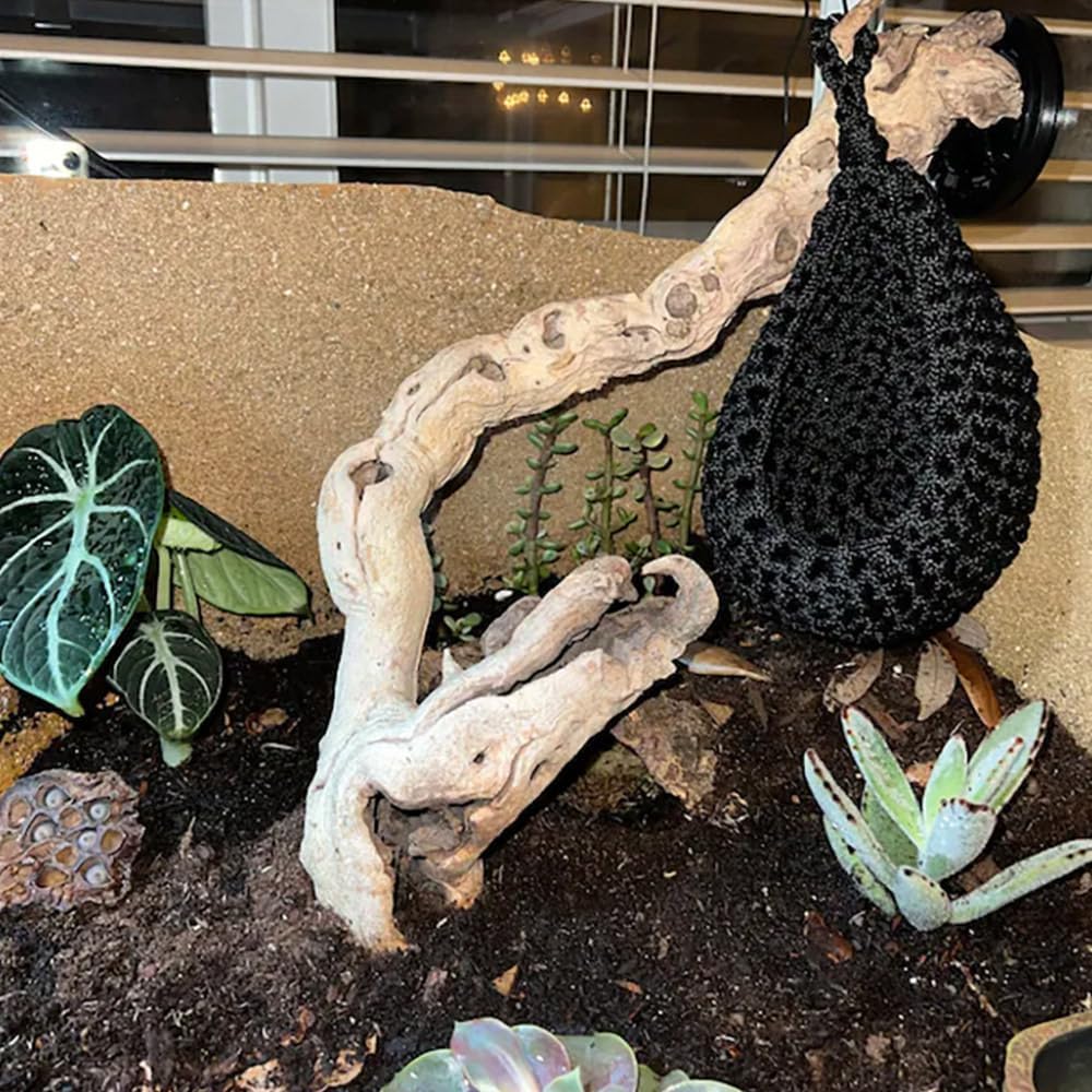 Detalle de Reptiles Hammock: Bearded Dragon Swing Hanging Bed