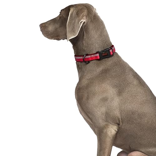 Thumbnail 2 de HALTI Collar cómodo para perros Talla M morado