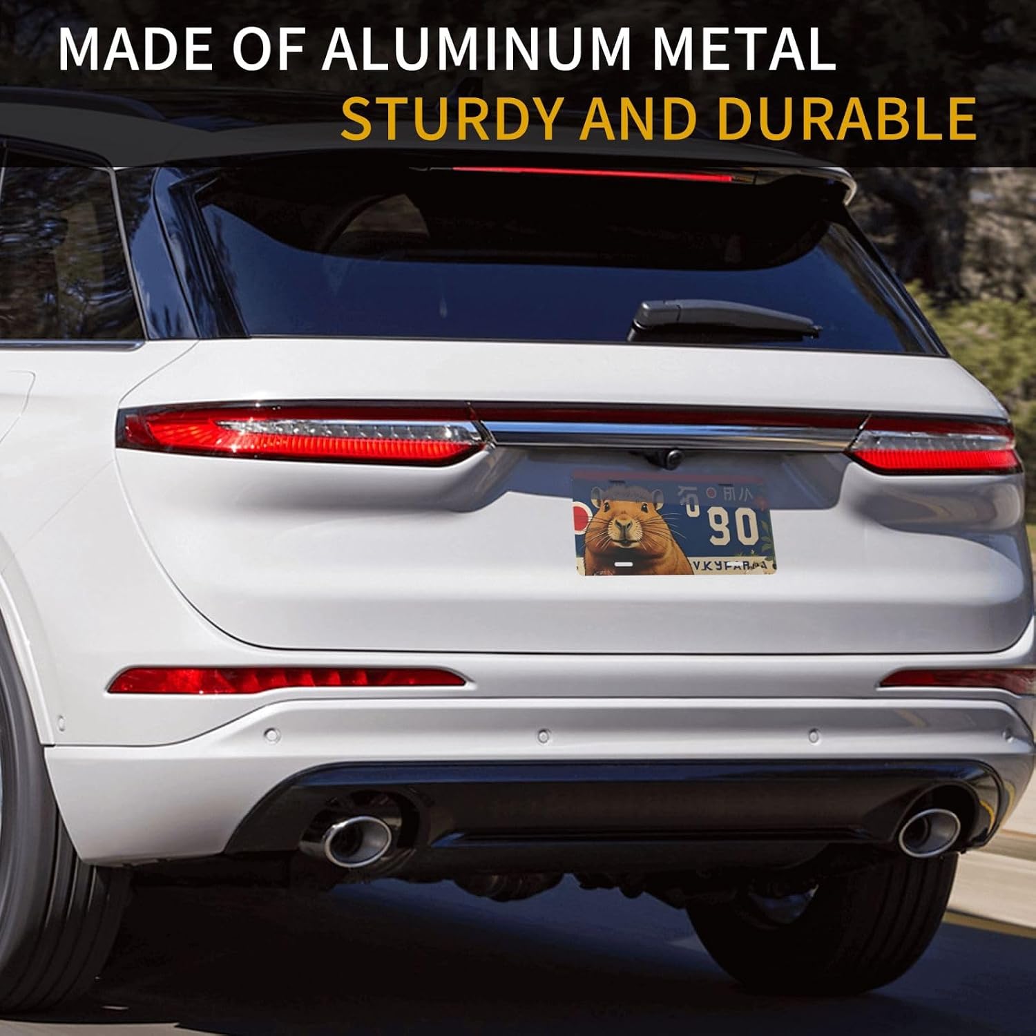 Detalle de Decorative License Plate 12 × 6 Inch
