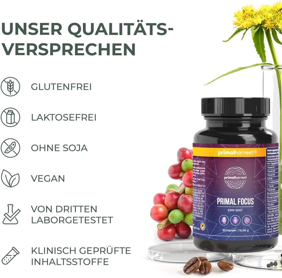 Thumbnail 4 de Primal Harvest Kogni Boost – Nahrungsergänzung mit Koffein, L-Tyrosin, Citicolin, Bacopa, Rhodiola & B-Vitaminen (vegan)