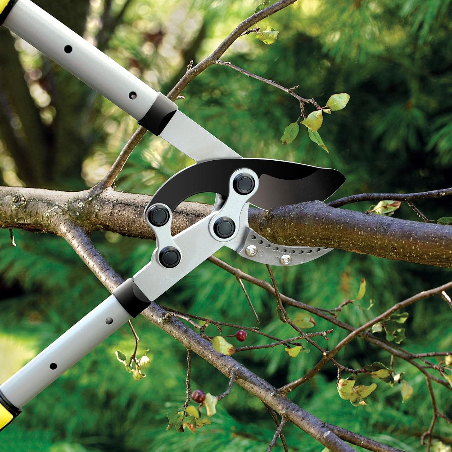 Thumbnail 4 de Jardineer Telescopic Loppers Set (3 pcs) with Extending Tree Lopper, Pruner & SK-5 Steel Blade