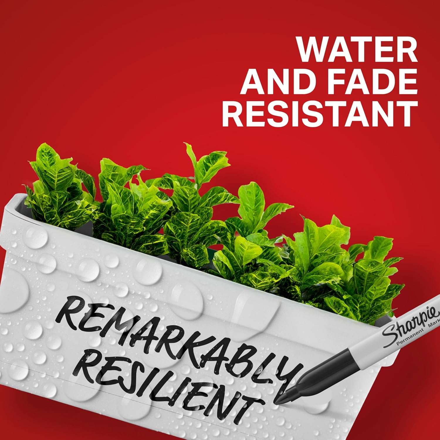 Thumbnail 2 de Sharpie Fine Point Permanent Markers 40-Pack 🖊️