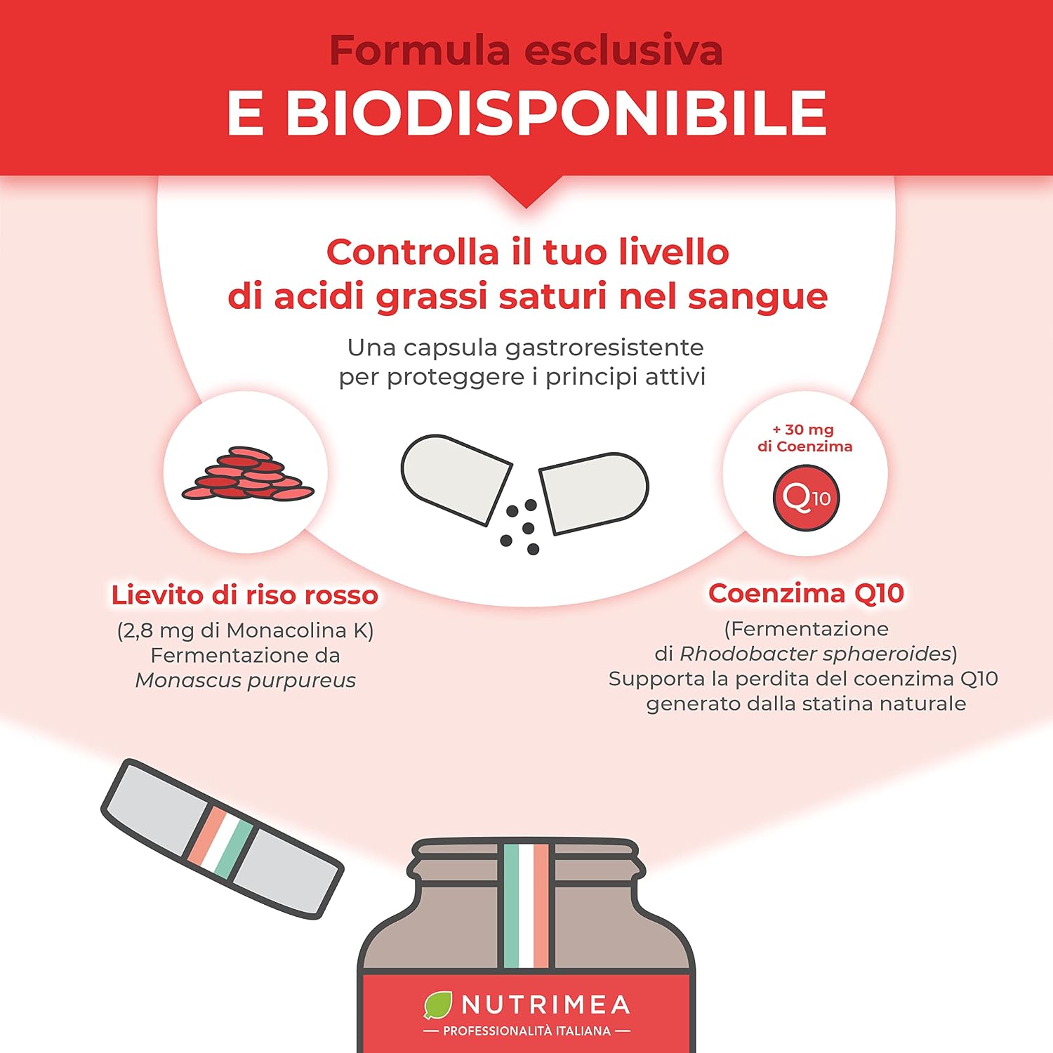Detalle 2 de Lievito di Riso Rosso 2,8 mg Monacolina K 90 Capsule