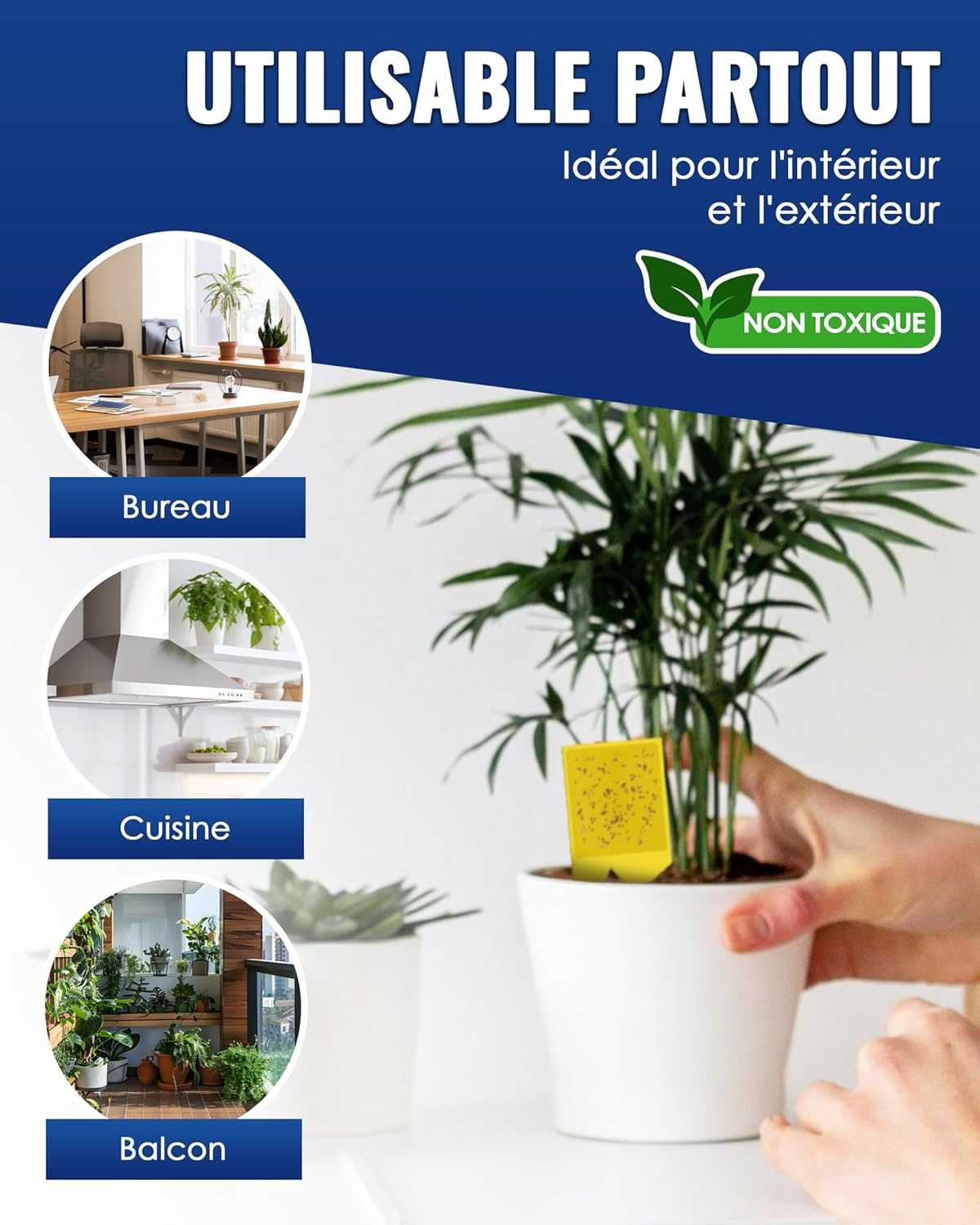 Thumbnail 3 de PIC Piège anti-moucherons pour plantes d’intérieur (60 pièges adhésifs recto-verso)