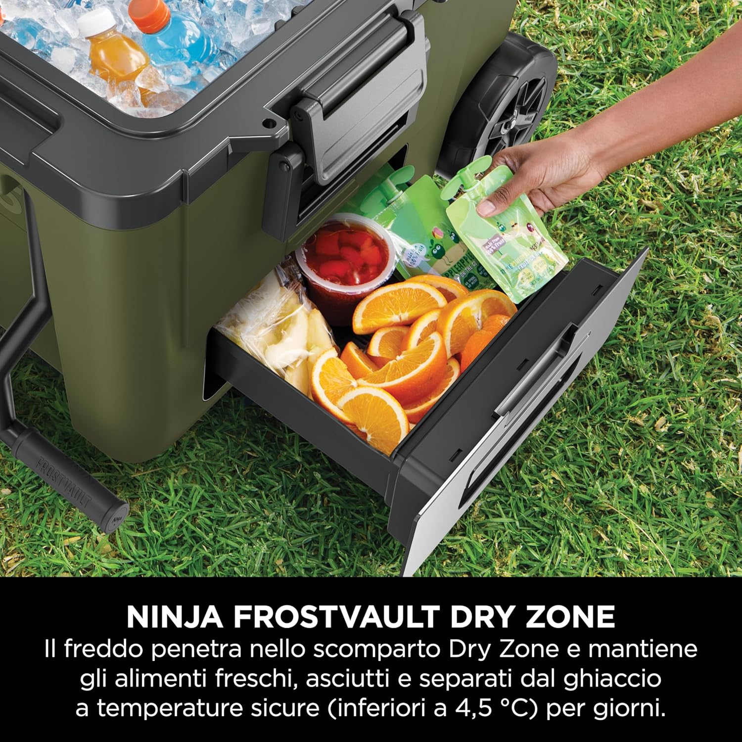 Thumbnail 3 de Ninja FrostVault FB245AMZEUUKGN ghiacciaia 42 L