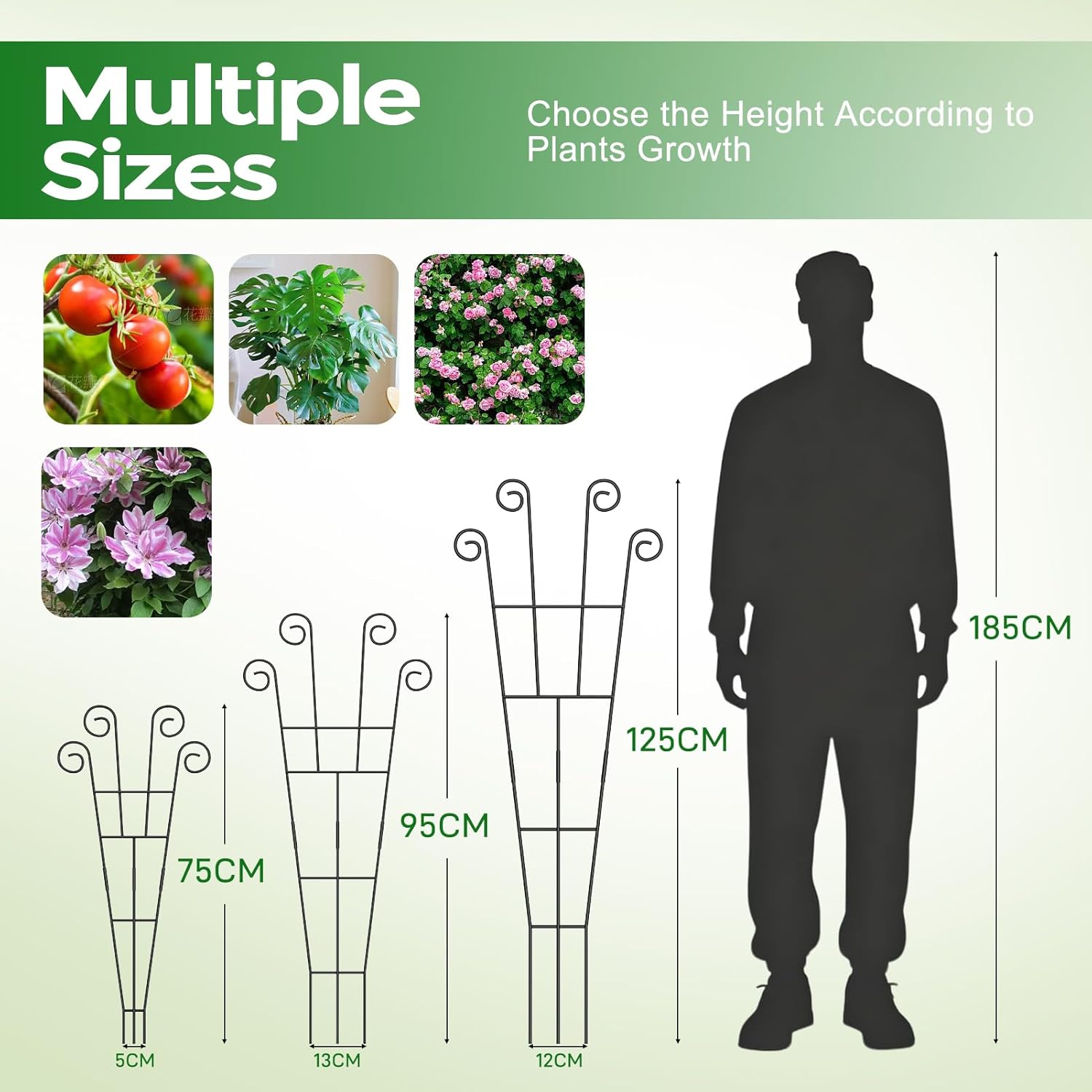 Thumbnail 1 de WELDUN 4 Pack 75cm Metal Plant Trellis Stakes for Climbing Plants (Indoor & Outdoor)