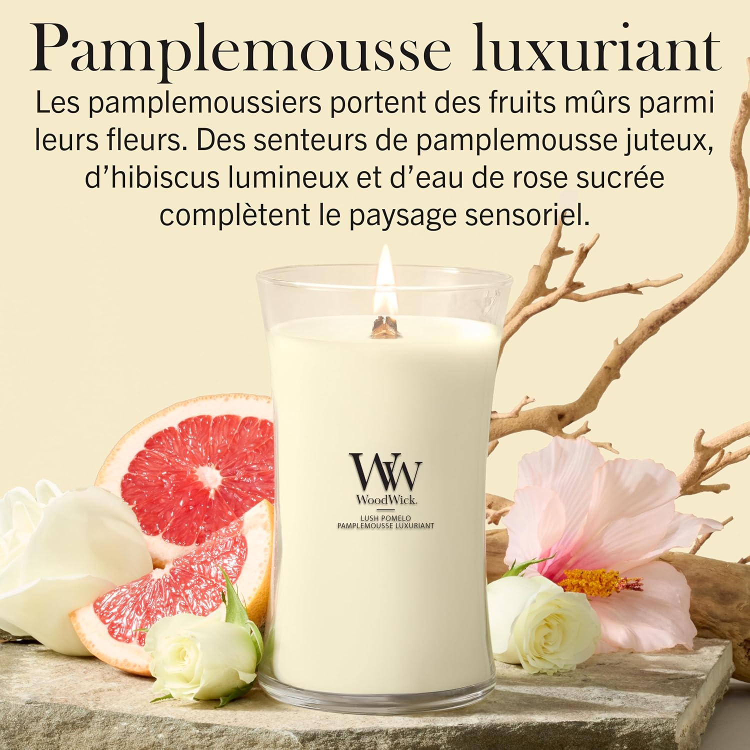 Detalle de WoodWick Grande Bougie Lush Pomelo – Une ambiance lumineuse et果ambiance parfumée, idéale comme cadeau