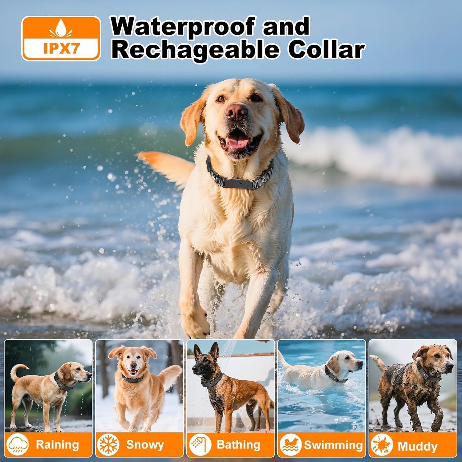 Thumbnail 4 de Ecoluminor Wireless Dog Fence and Training Collar 2-Pack